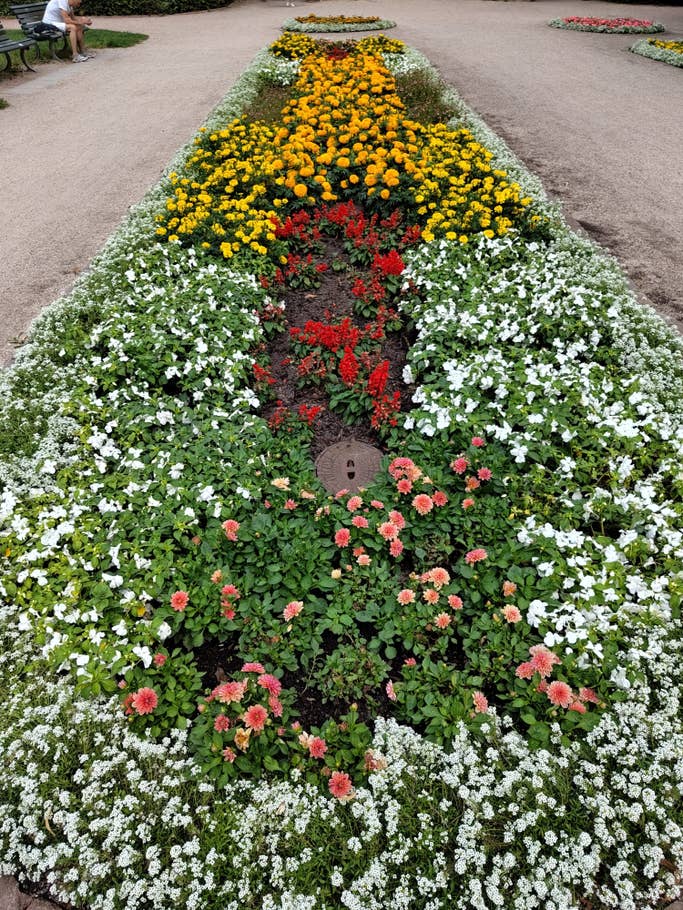 Nothing Phone (2) – Testfoto