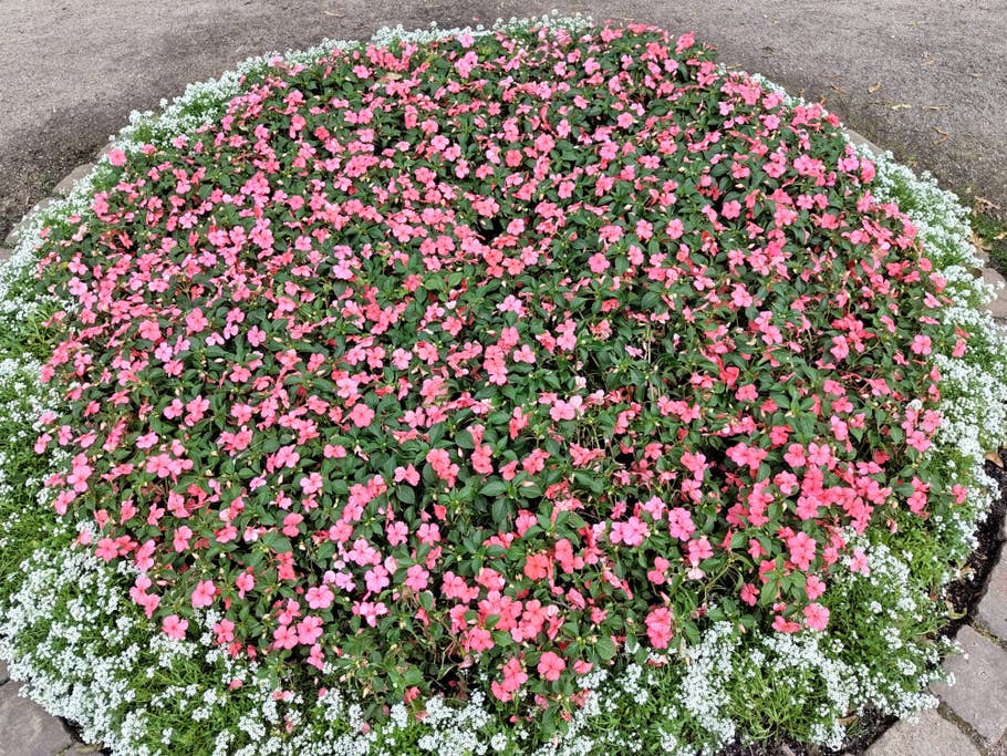 Nothing Phone (2) – Testfoto