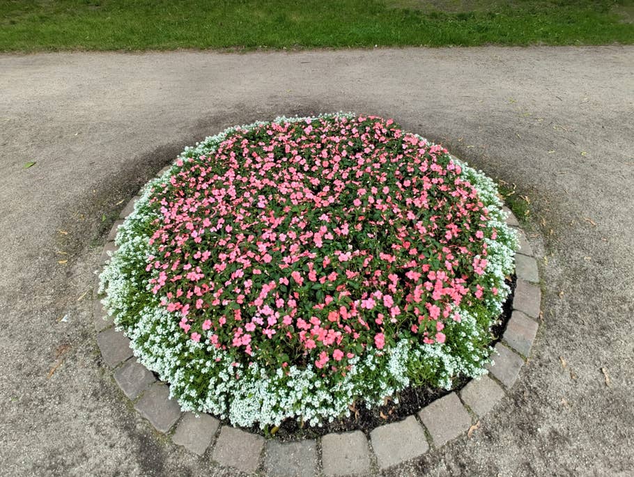 Nothing Phone (2) – Testfoto