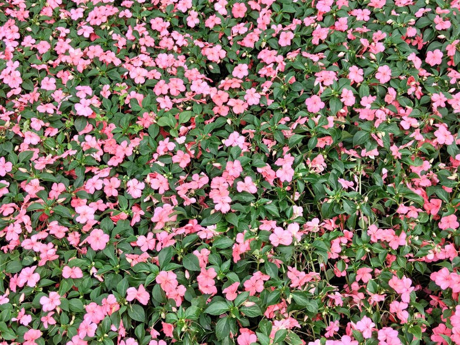 Nothing Phone (2) – Testfoto