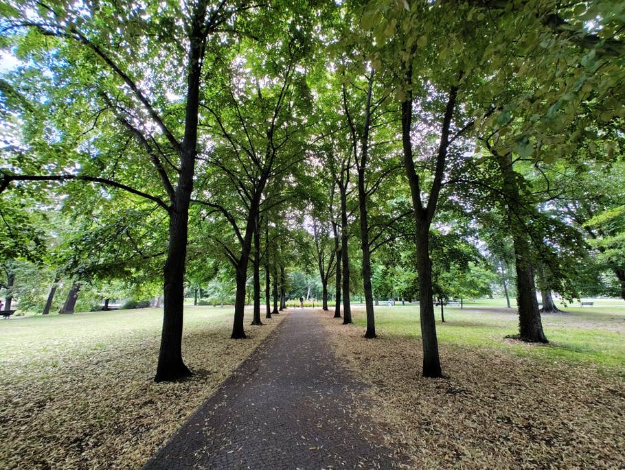 Nothing Phone (2) – Testfoto