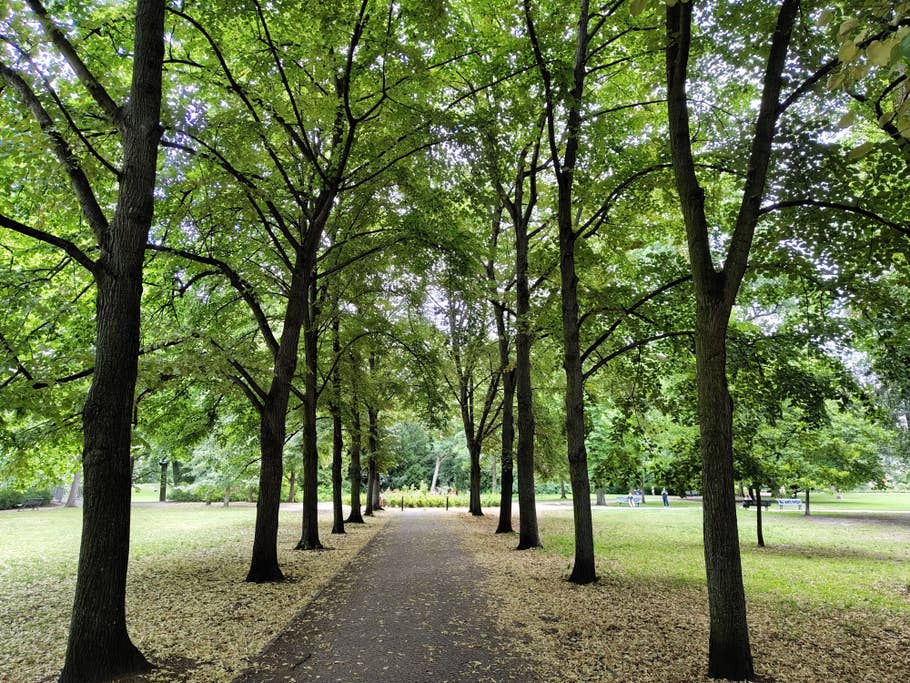 Nothing Phone (2) – Testfoto