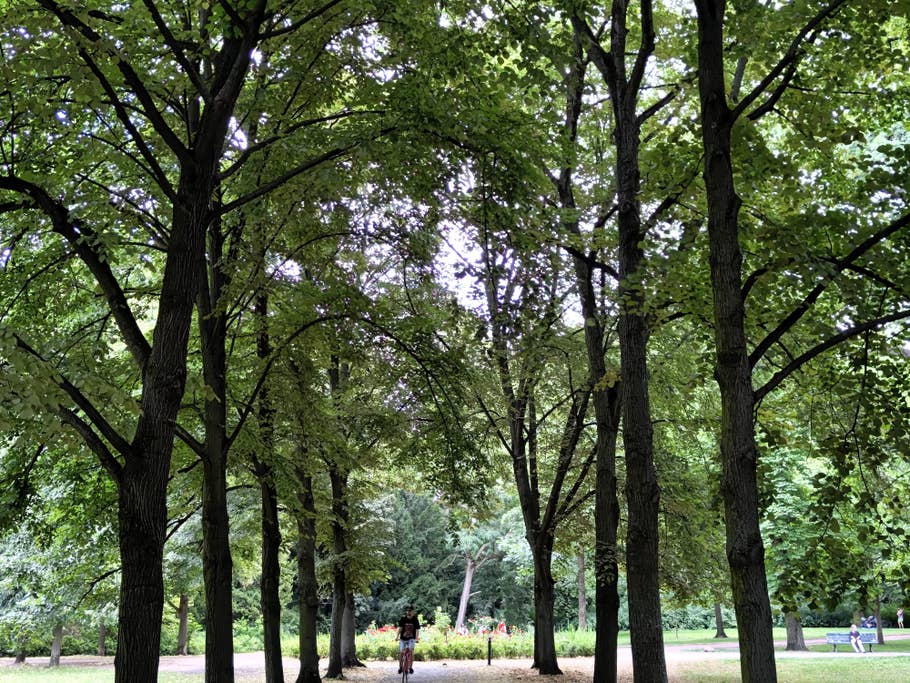 Nothing Phone (2) – Testfoto