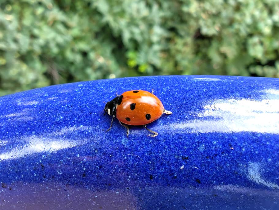 Nothing Phone (2) – Testfoto