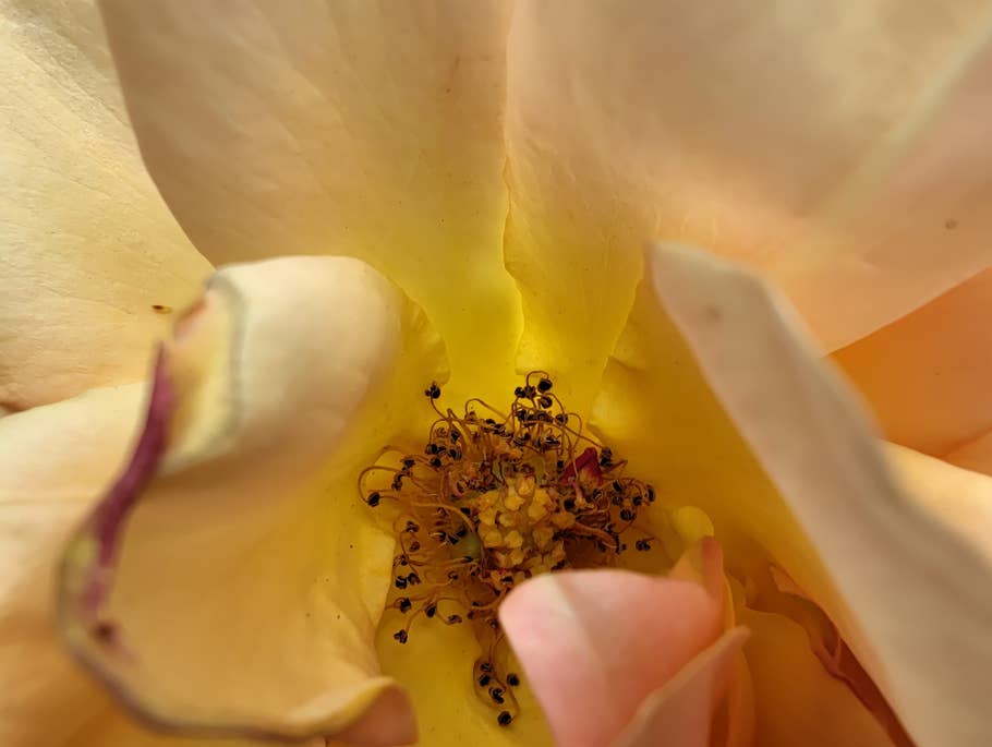 Nothing Phone (2) – Testfoto