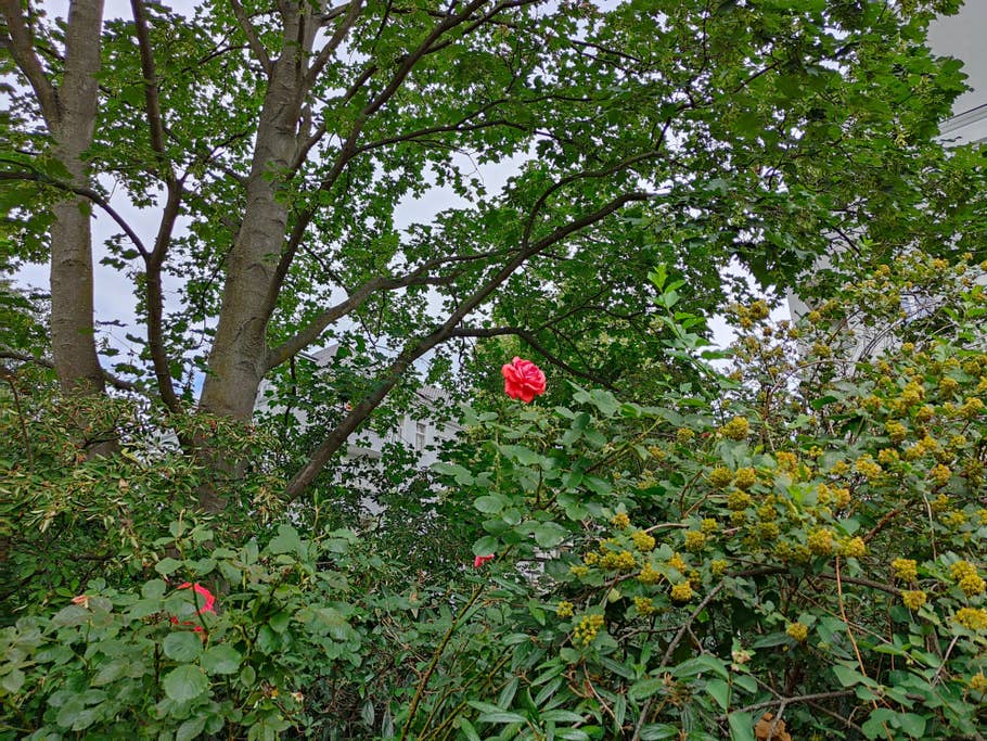 Realme GT 2 Pro Testbild 04