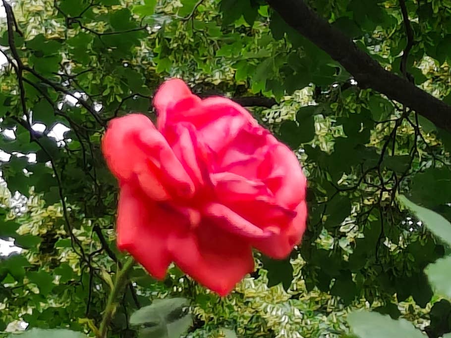 Realme GT 2 Pro Testbild 07