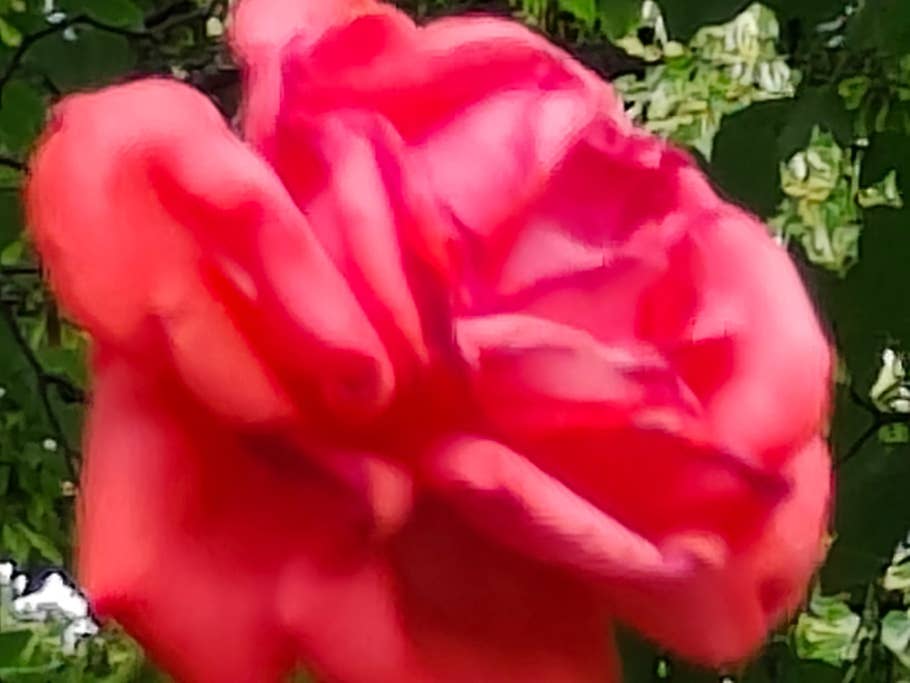 Realme GT 2 Pro Testbild 08