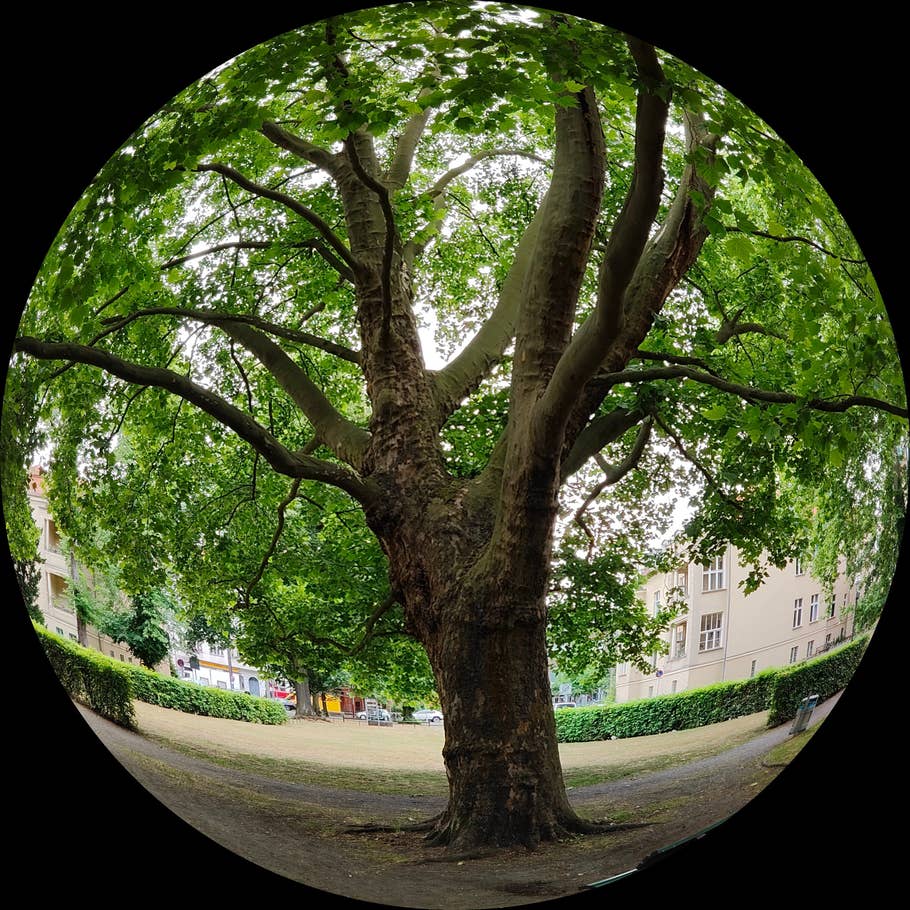 Realme GT 2 Pro Testbild 25