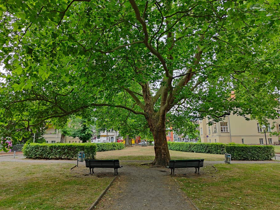 Realme GT 2 Pro Testbild 01