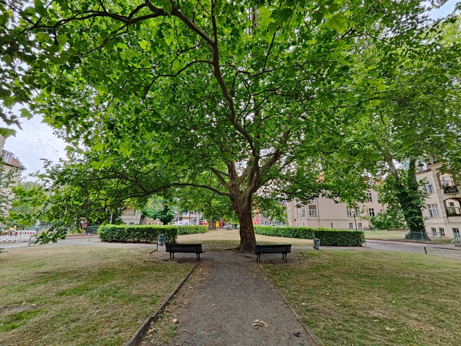 Realme GT 2 Pro Testbild 02