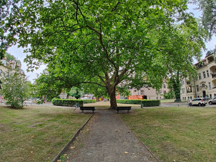 Realme GT 2 Pro Testbild 03