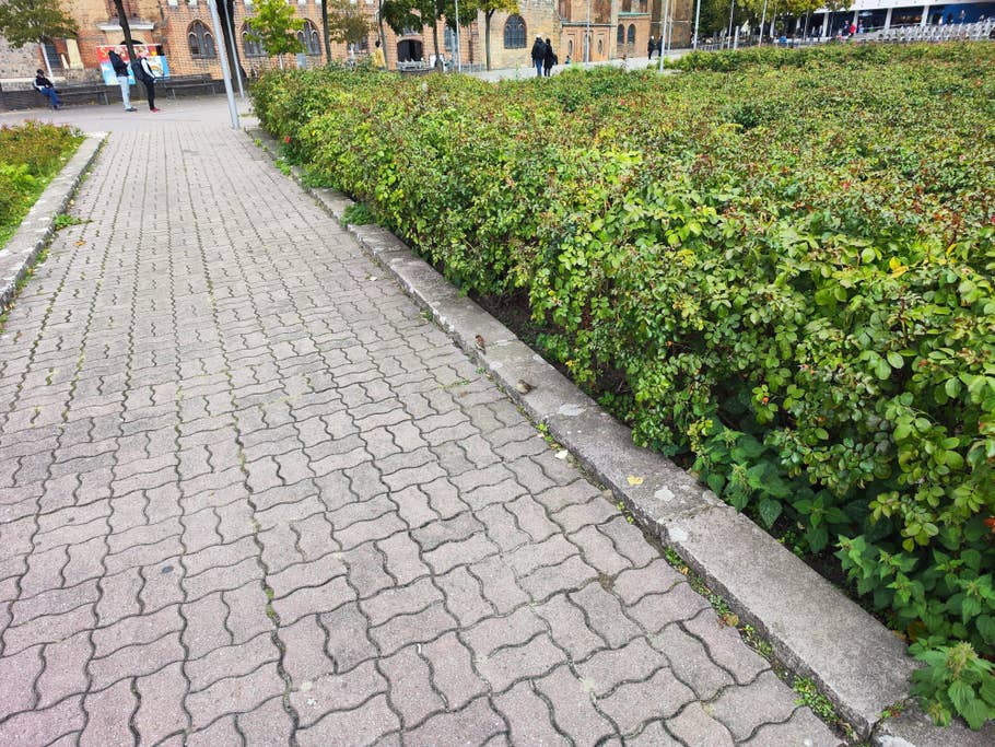 Xiaomi 12T Pro test photo