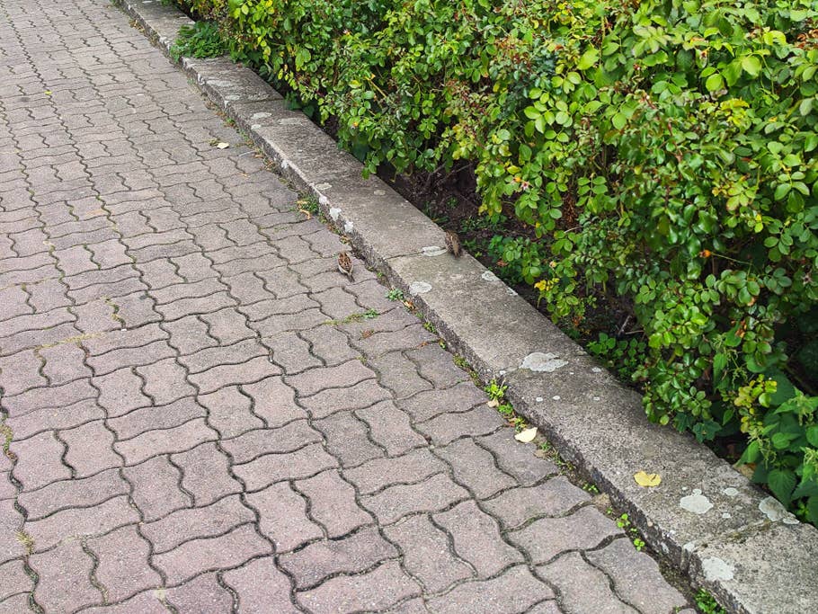 Xiaomi 12T Pro test photo