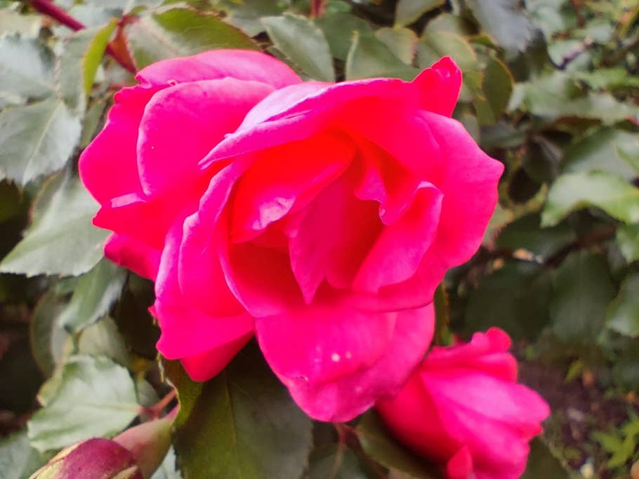 Xiaomi 12T Pro test photo