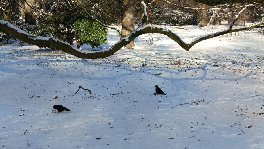 Testfoto vom Xiaomi Redmi Note 13 5G