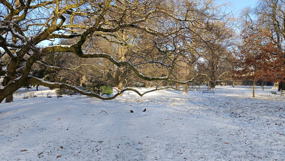 Testfoto vom Xiaomi Redmi Note 13 5G