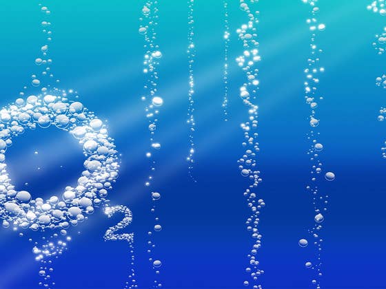 Nur 19,99 €: Vielsurfer-Tarif von o2 mit wachsendem Datenvolumen!