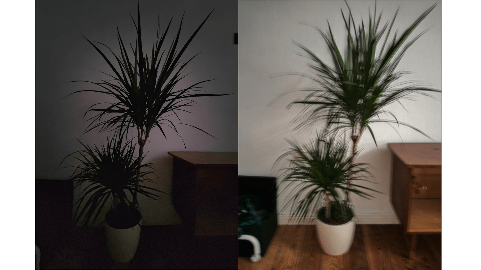 oppo find x2 neo nachtmodus