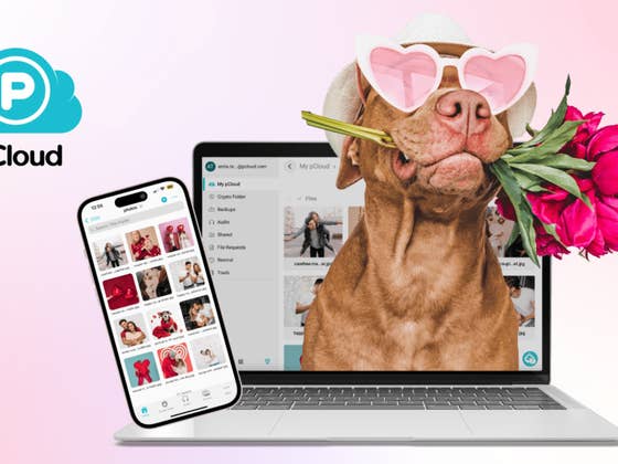 Jetzt mehr als 50 % sparen: Lifetime-Cloudspeicher ohne Folgekosten zum Top-Preis