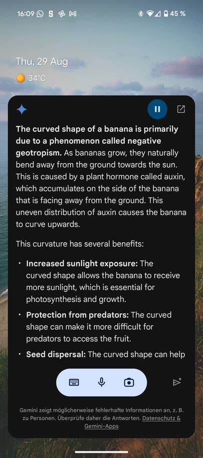 Google Pixel 9 Screenshots 04