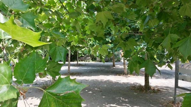 s4 active camera 2 hdr