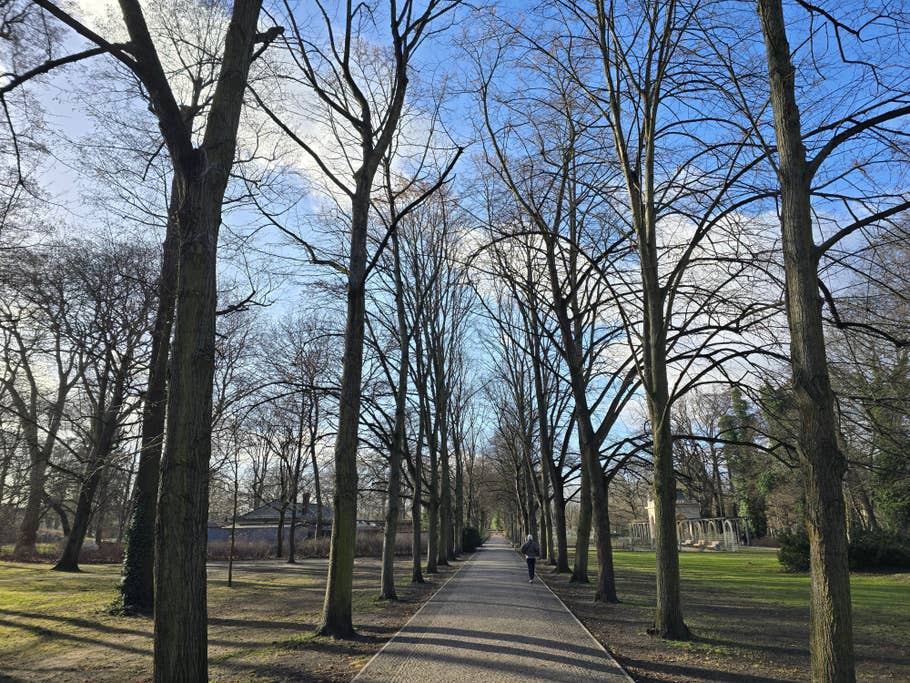 Beispielfoto des Samsung Galaxy S24 Ultra