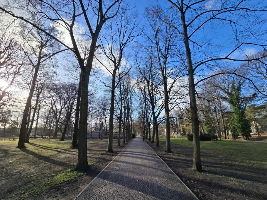 Beispielfoto des Samsung Galaxy S24 Ultra