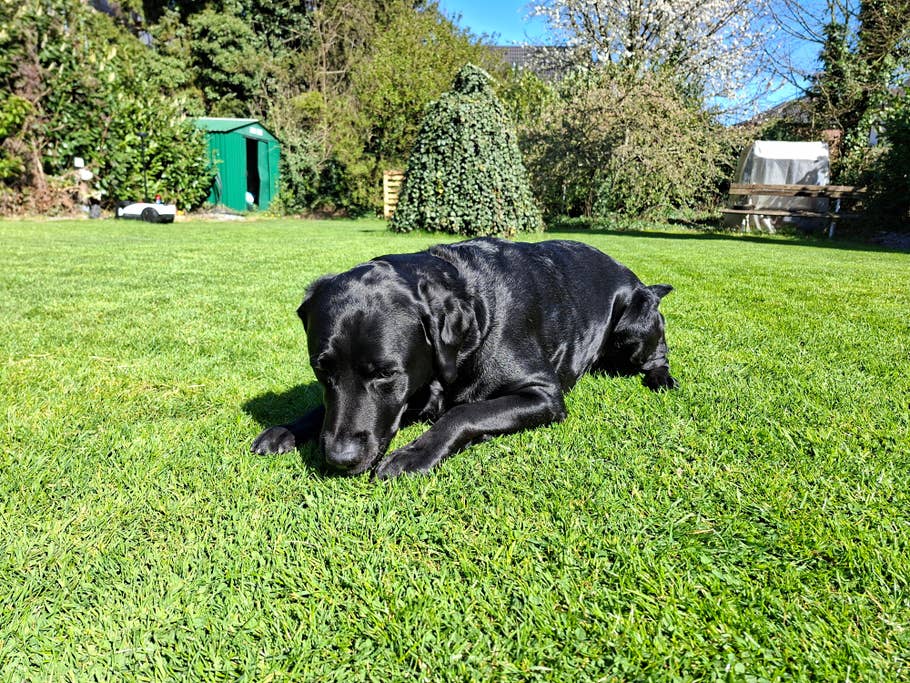 Samsung Galaxy A56 Testfoto