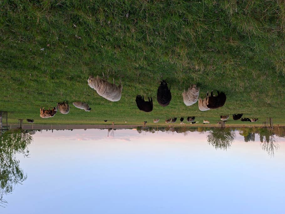 Samsung Galaxy A56 Testfoto