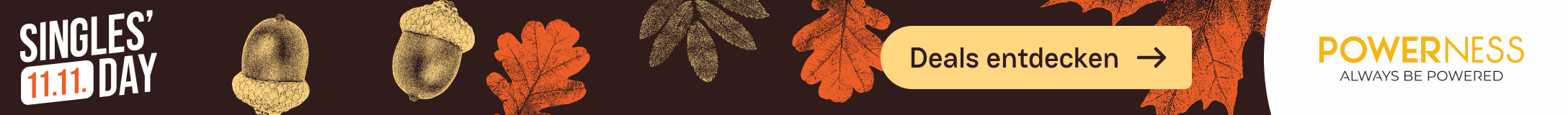 Singles‘ Day zusammen mit Powerness
