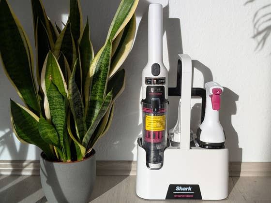 Shark StainForce im ersten Test: Endlich keine Flecken mehr auf Sofa & Co.?