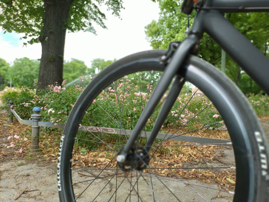 Sony Xperia 10 V Porträtmodus