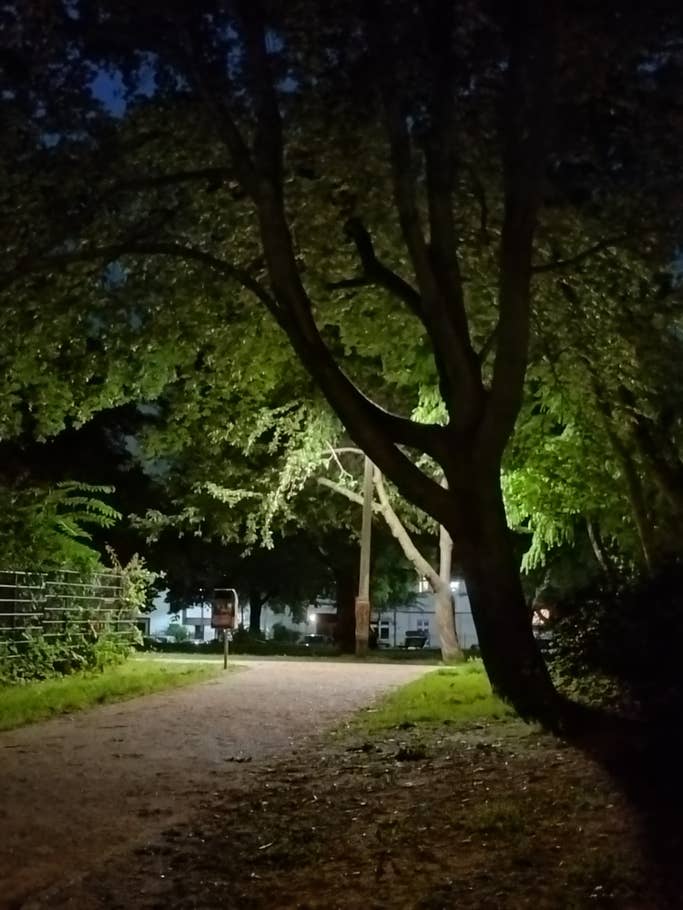 Sony Xperia 10 V Nachtmodus