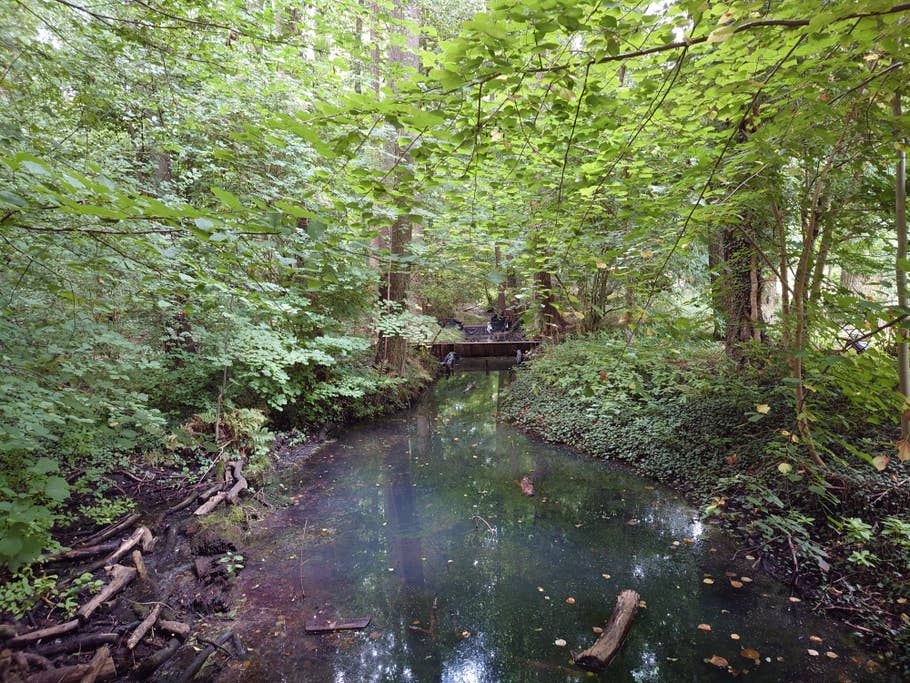 Sony Xperia 1 IV Test-Fotos