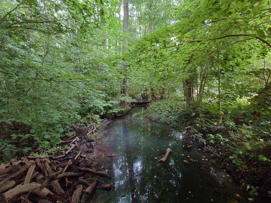 Sony Xperia 1 IV Test-Fotos