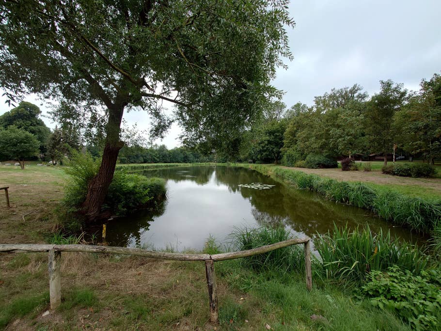 Sony Xperia 1 IV Test-Fotos