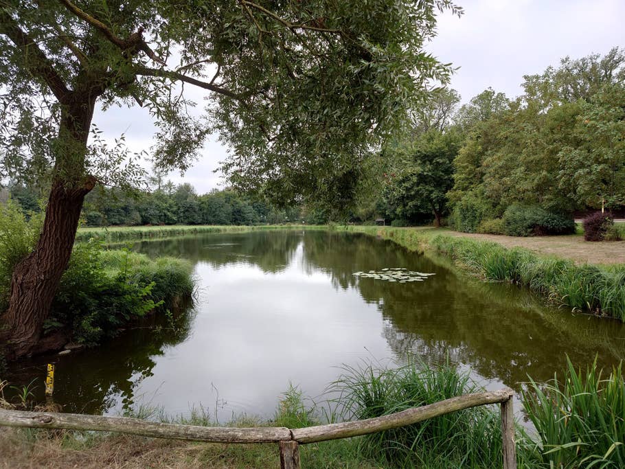 Sony Xperia 1 IV Test-Fotos