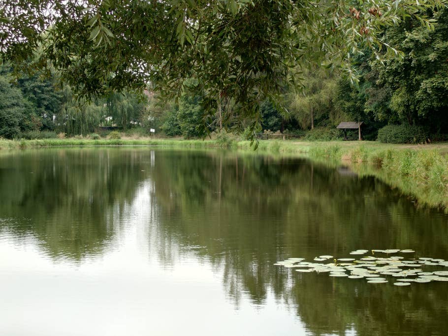 Sony Xperia 1 IV Test-Fotos