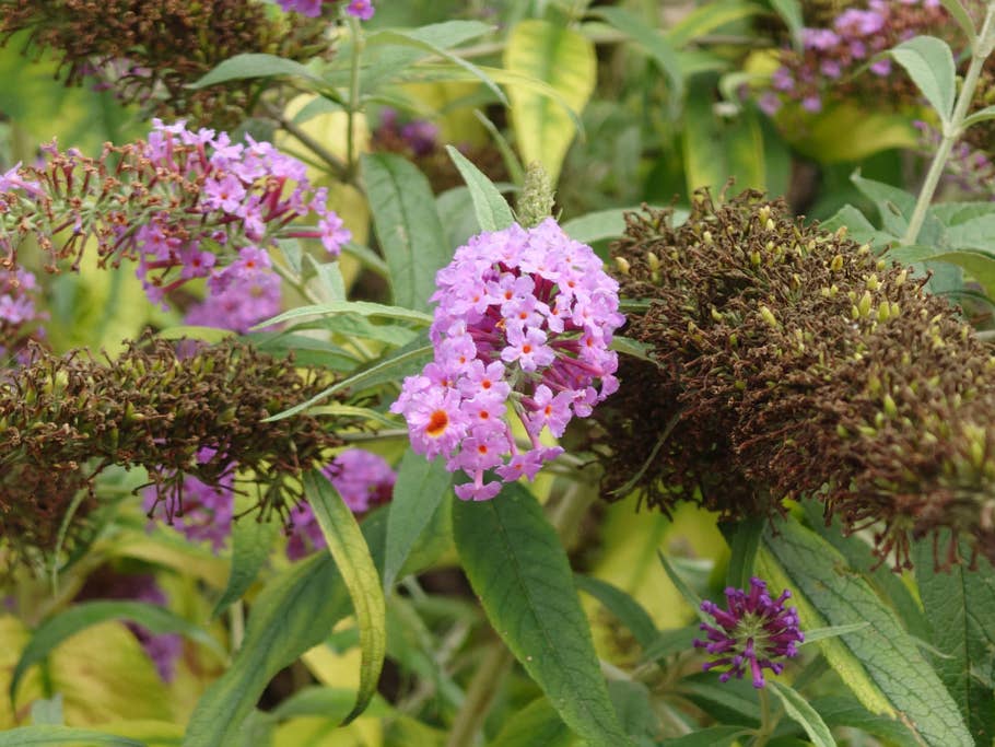 Sony Xperia 1 IV Test-Fotos