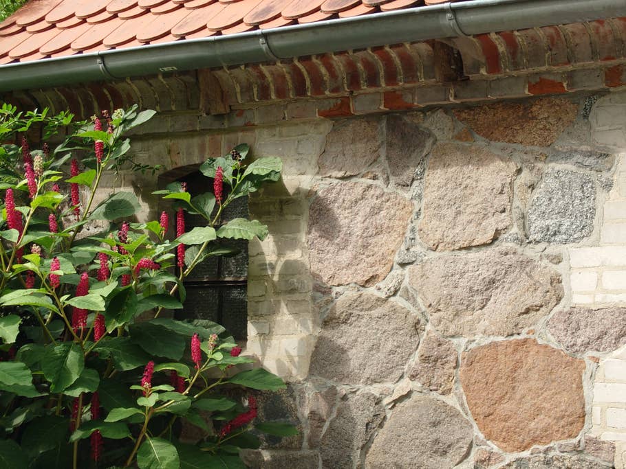 Sony Xperia 1 IV Test-Fotos