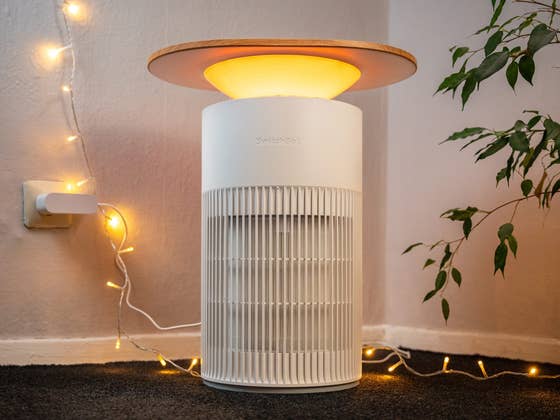 Eingebauter Katzentisch: Wie gut ist der erste Luftreiniger von SwitchBot?