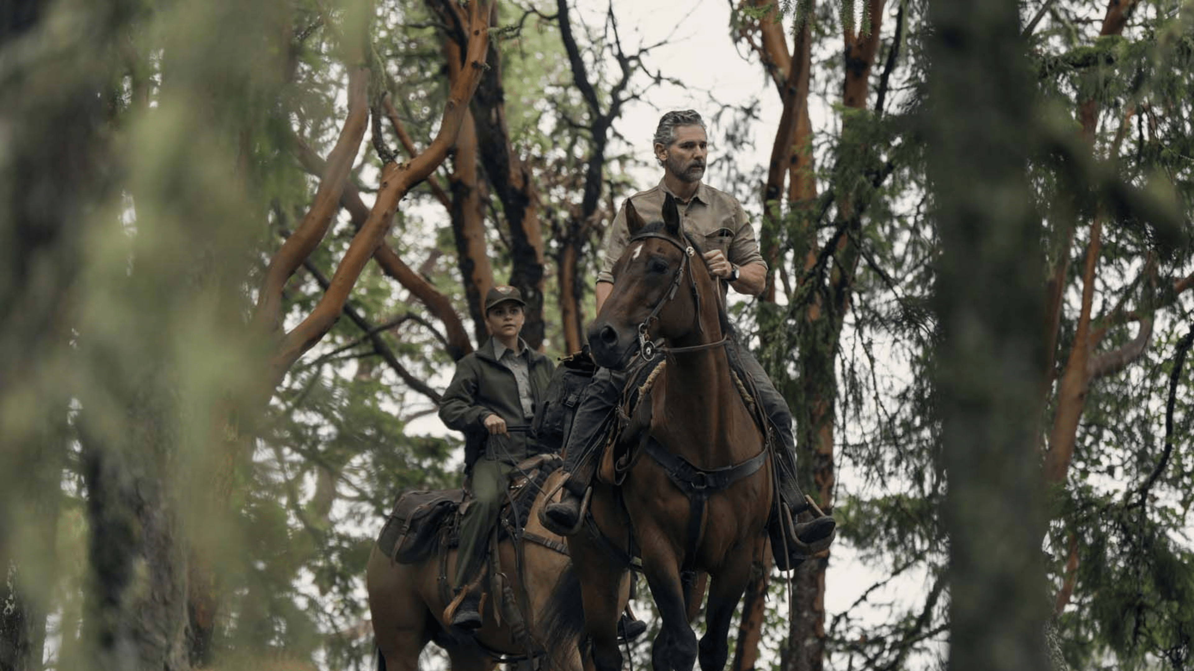 Zwei Reiter auf Pferden navigieren durch einen dichten Wald.