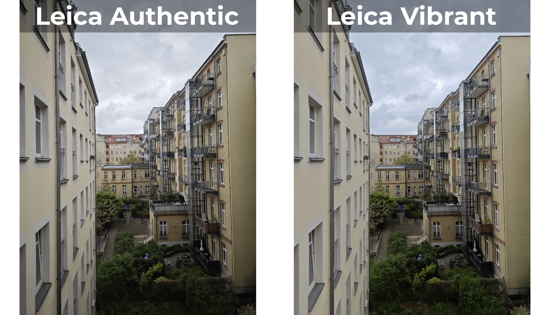 Xiaomi 13 Ultra Leica Vibrant vs Leica Authentic