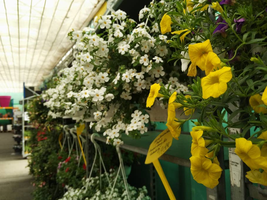 Xiaomi Mi Note Pro Magic Focus