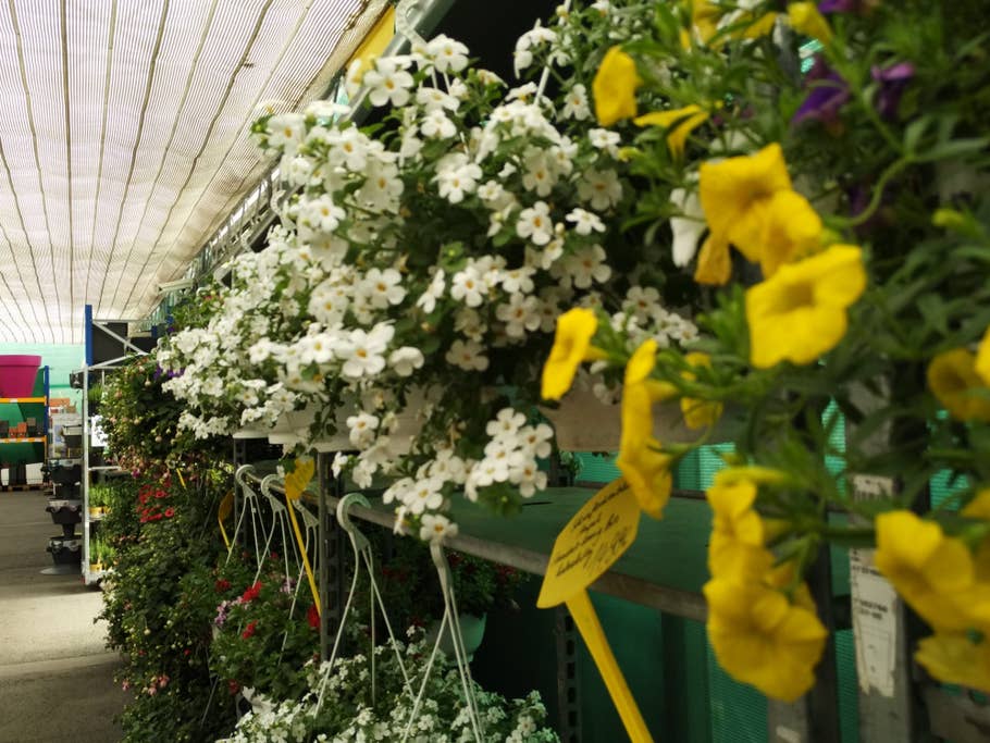 Xiaomi Mi Note Pro Magic Focus