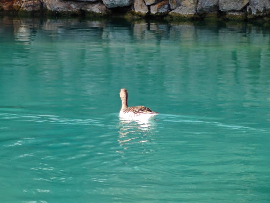 Testfoto mit dem Xiaomi 13 Pro