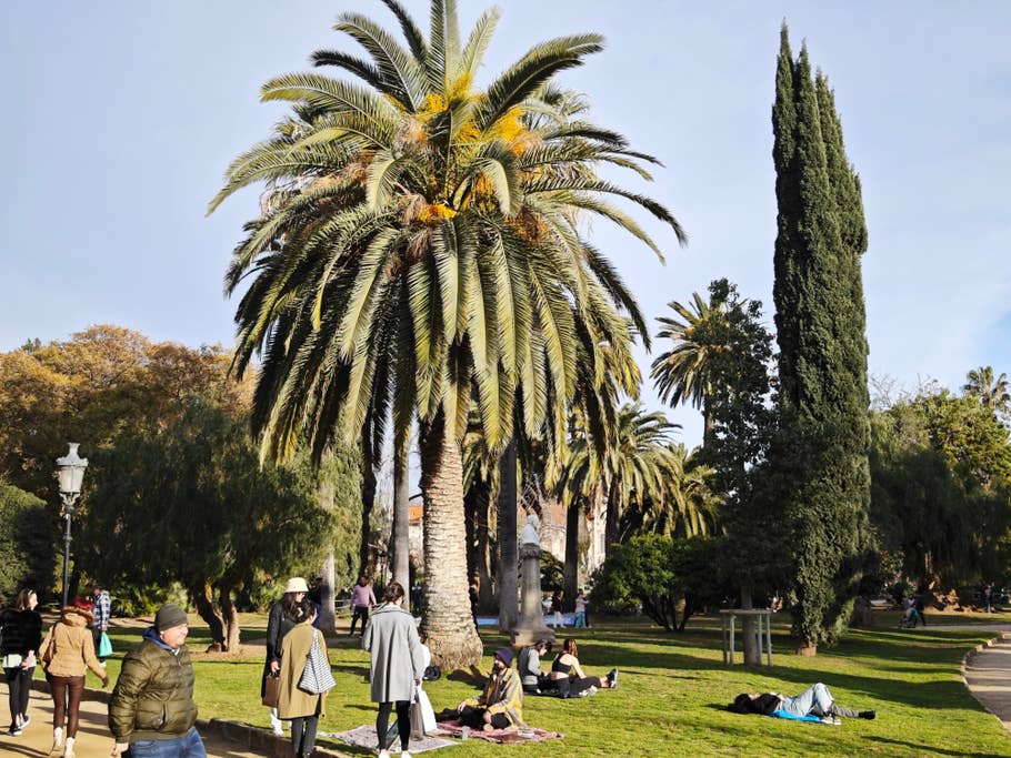 Testfoto mit dem Xiaomi 13 Pro