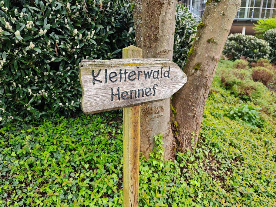 Beispiel-Foto des Xiaomi 14 Ultra