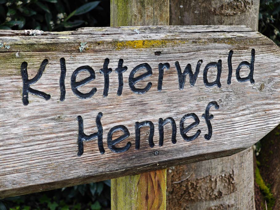 Beispiel-Foto des Xiaomi 14 Ultra